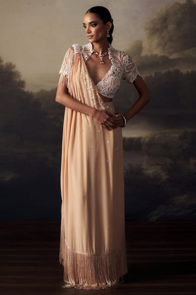 Blush nude embroidered kaftan concept sari set