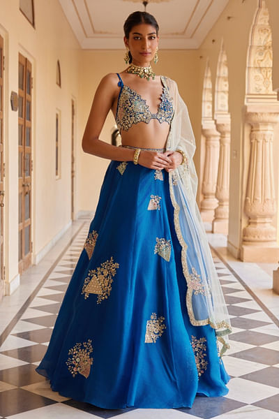 Blueberry floral embroidered lehenga set