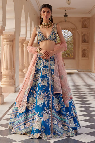 Blueberry floral appliqued lehenga set