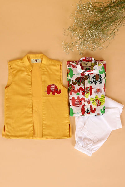 Elephant kurta and jacket set