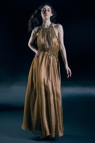 Gold embroidered halter neck gown