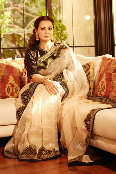 Beige applique embroidery sari set