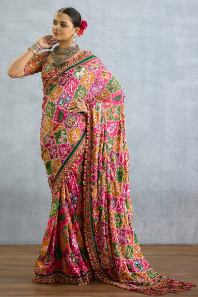 Multicoloured print embroidered sari
