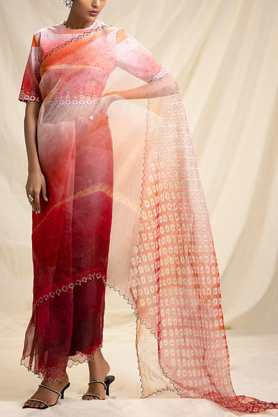 Blush printed silk organza sari set