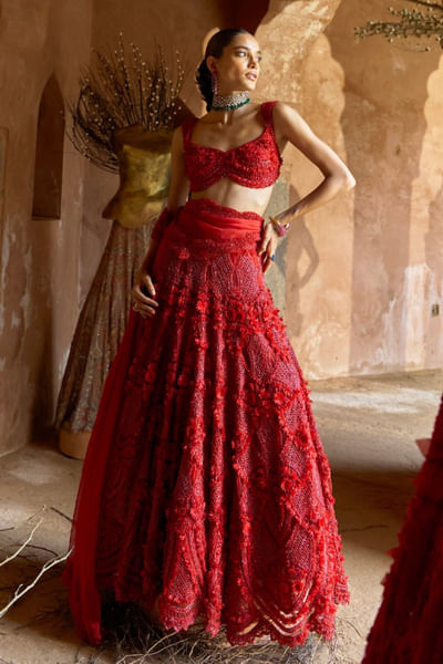 Red 3D tonal embroidered lehenga set
