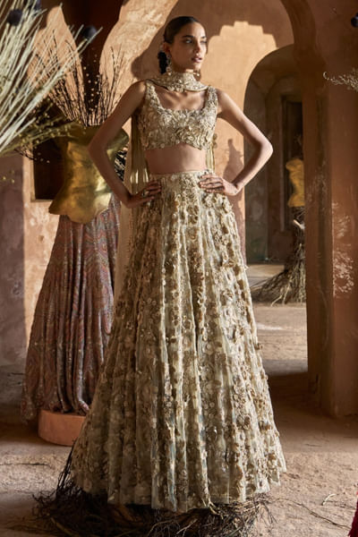 Beige gold 3D floral embroidered lehenga set