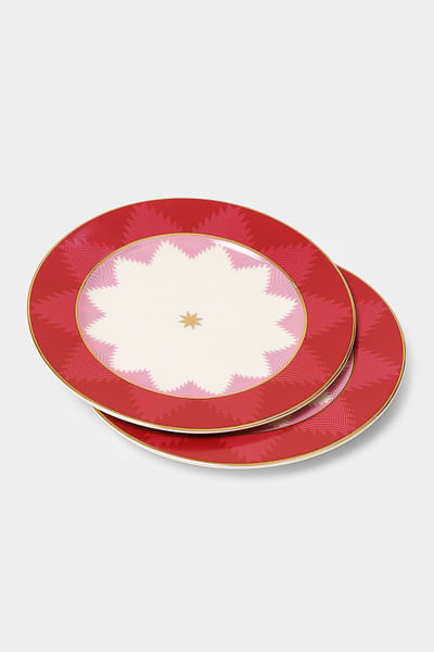Printed dinner plate set