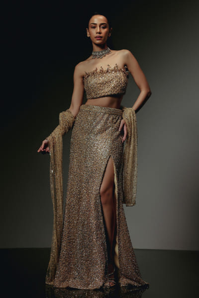 RA'KAIRA Metallic gold 3D hand embellished skirt set RAKAMAY26D145100