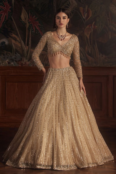 Gold tonal embroidered lehenga set