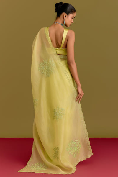 Devnaagri Green dori embroidered sari set DEVNJUN26D246671