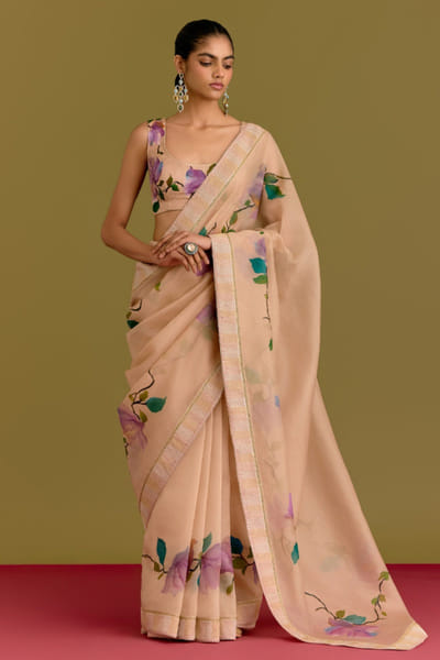 Devnaagri Beige handpainted zari embroidered sari set DEVNJUN26D246672