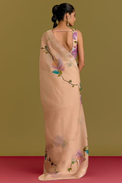Devnaagri Beige handpainted zari embroidered sari set DEVNJUN26D246672