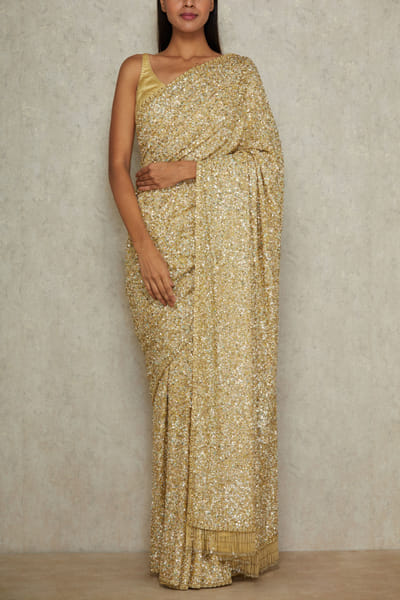 Sabyasachi Sequinned sari SACINA48