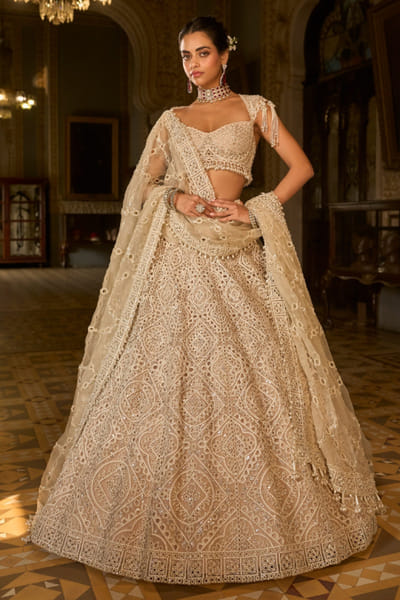 Dark beige thread embroidered lehenga set