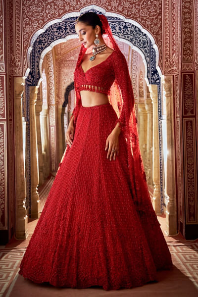 Red sequin and crystal embroidery lehenga set