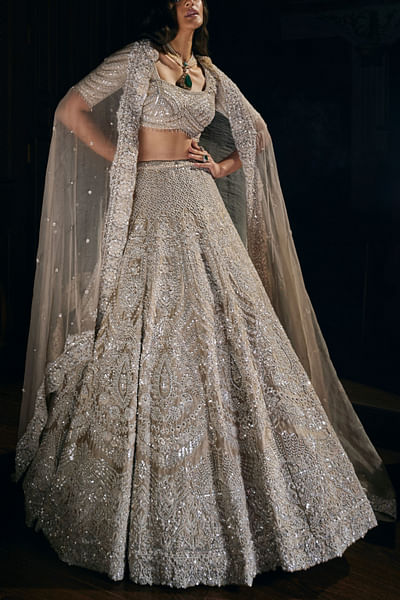 Nude embellished lehenga set