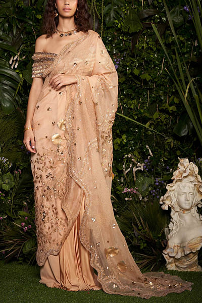 Gold embellished sari set