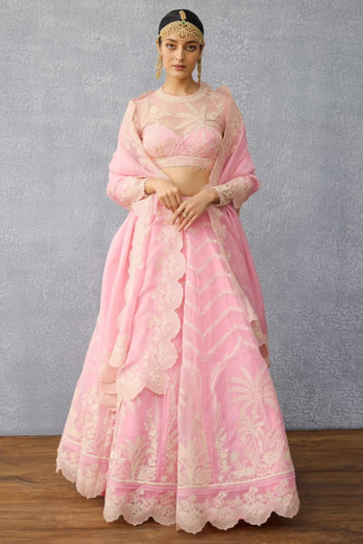 Pink dori embroidered lehenga set