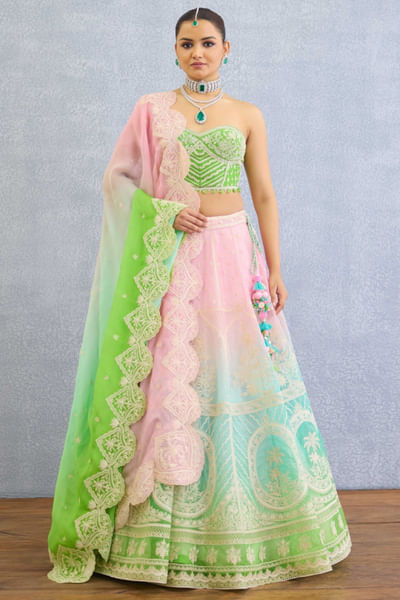 Ombre embroidered lehenga set