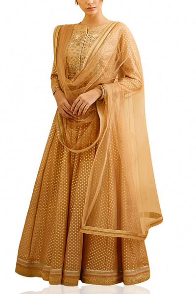 Gold and brown embroidered anarkali set