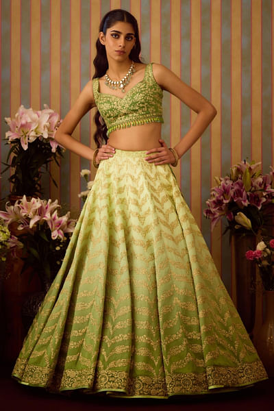 Green dori embroidered lehenga set