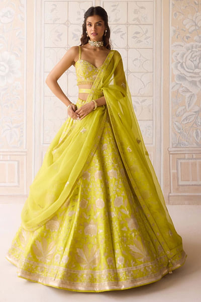 Spring green floral appliqued lehenga set
