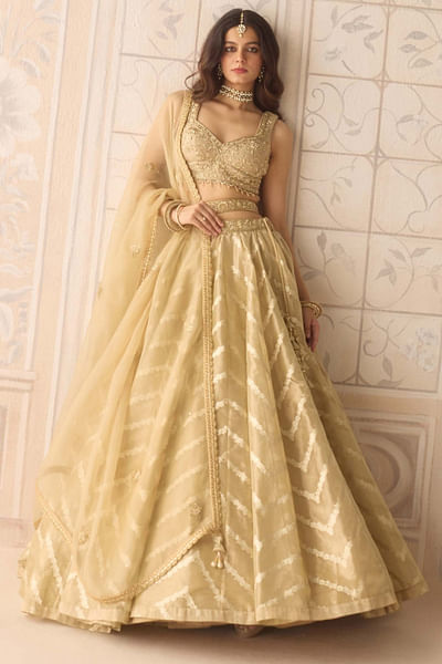 Gold zardozi embroidered tissue lehenga set