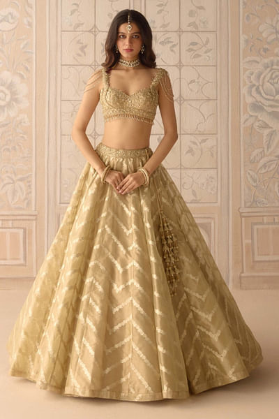 Gold embroidered lehenga set