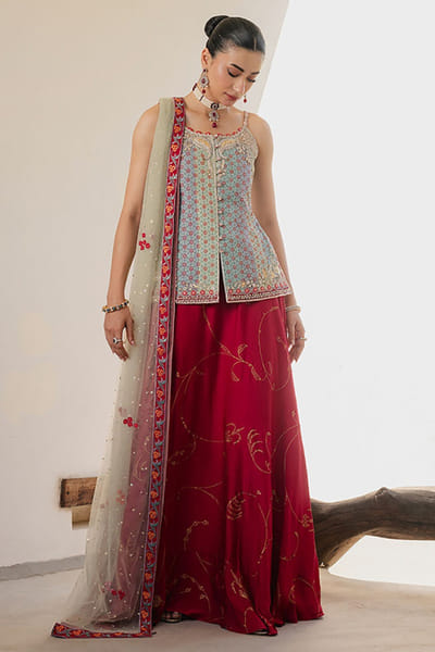 Aneeka Ruknuddin Pink printed lehenga set ANEEAUG26D152562