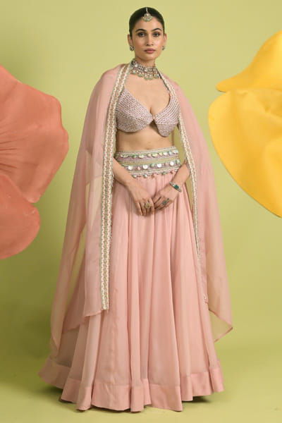 Blush pink embellished lehenga set