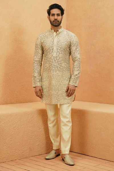 Ivory tonal thread embroidery sheer kurta set