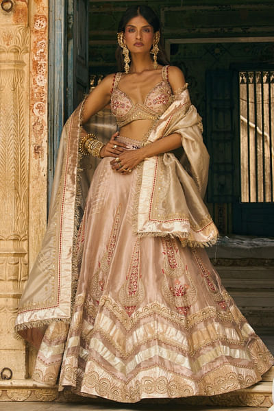Rose gold embroidered zari tissue lehenga set