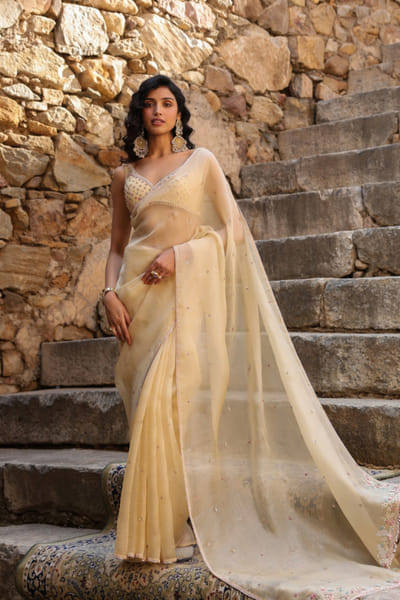Beige zardozi and resham embroidered sari set
