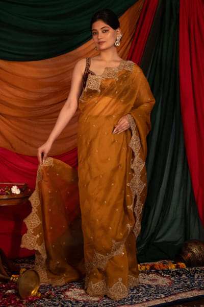 Nitika Bali Brown-green zardozi hand embroidered sari set NITIJUL26D149252