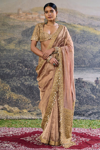 Brown embroidered tissue sari set