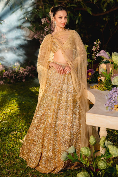 Gold embroidered net lehenga set