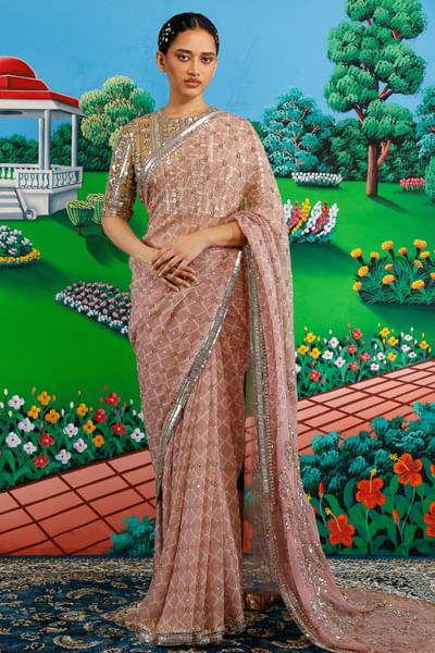 Pastel embroidered sari set